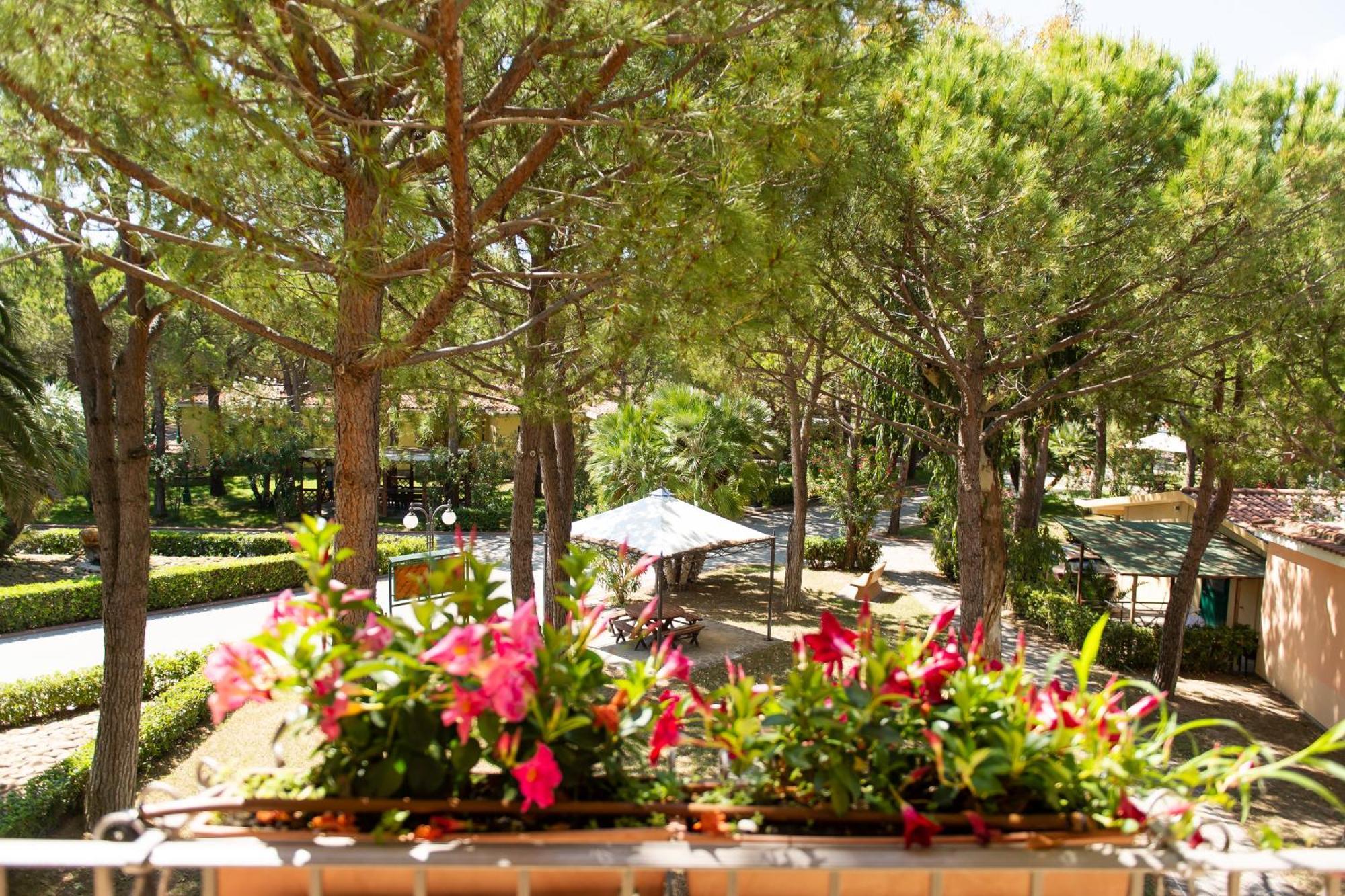 Salinello Village Sorrento Rum bild